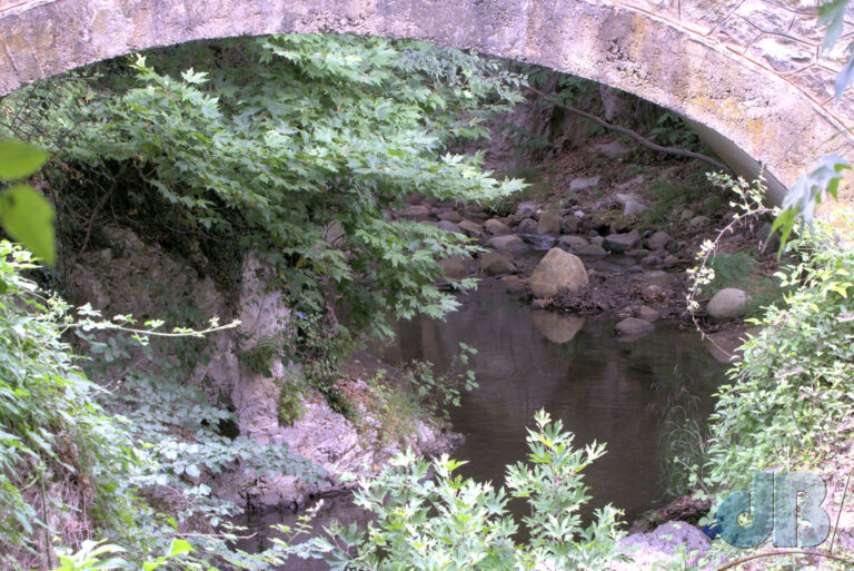 Bridge under which I think I saw a Camberwell Beauty