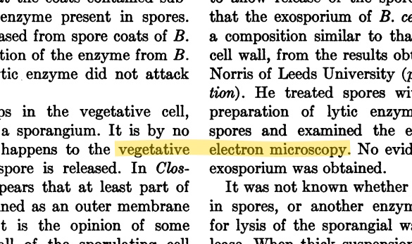 The image shows a screengrab of the 1959 paper about vegetative cells and the electron microscopy used to research them. I've highlighted where the problem phrase would've emerged if OCR failed to note the gap between columns.